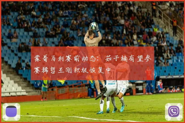 蒙哥马利赛前动态：茹子楠有望参赛稀哲王刚积极恢复中
