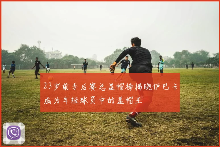 23岁前季后赛总盖帽榜揭晓伊巴卡成为年轻球员中的盖帽王